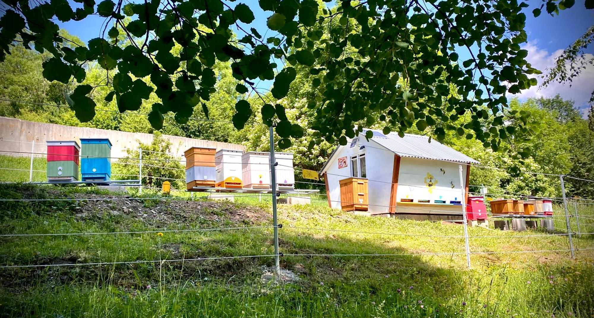 Apartmany Svrcinky Liptovský Mikuláš Extérieur photo