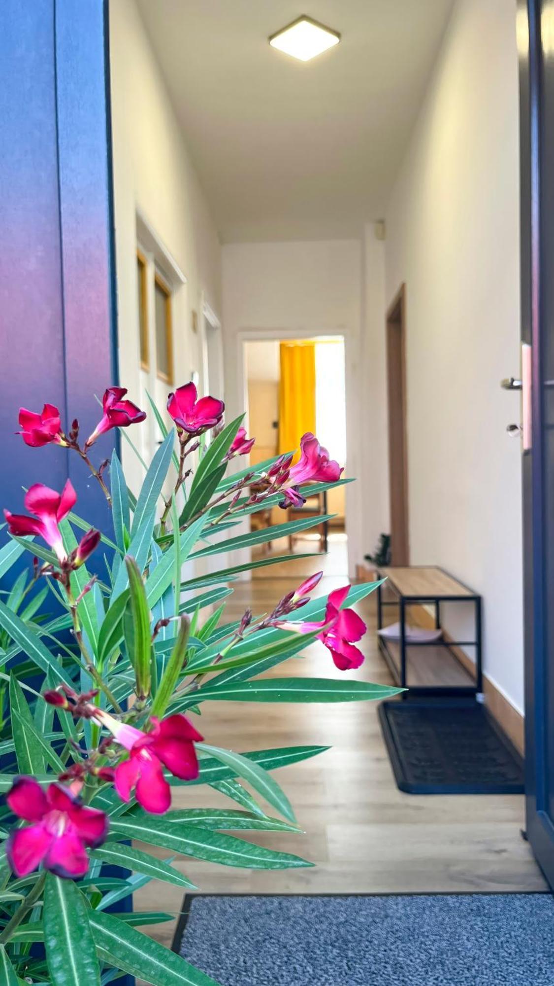Apartmany Svrcinky Liptovský Mikuláš Extérieur photo